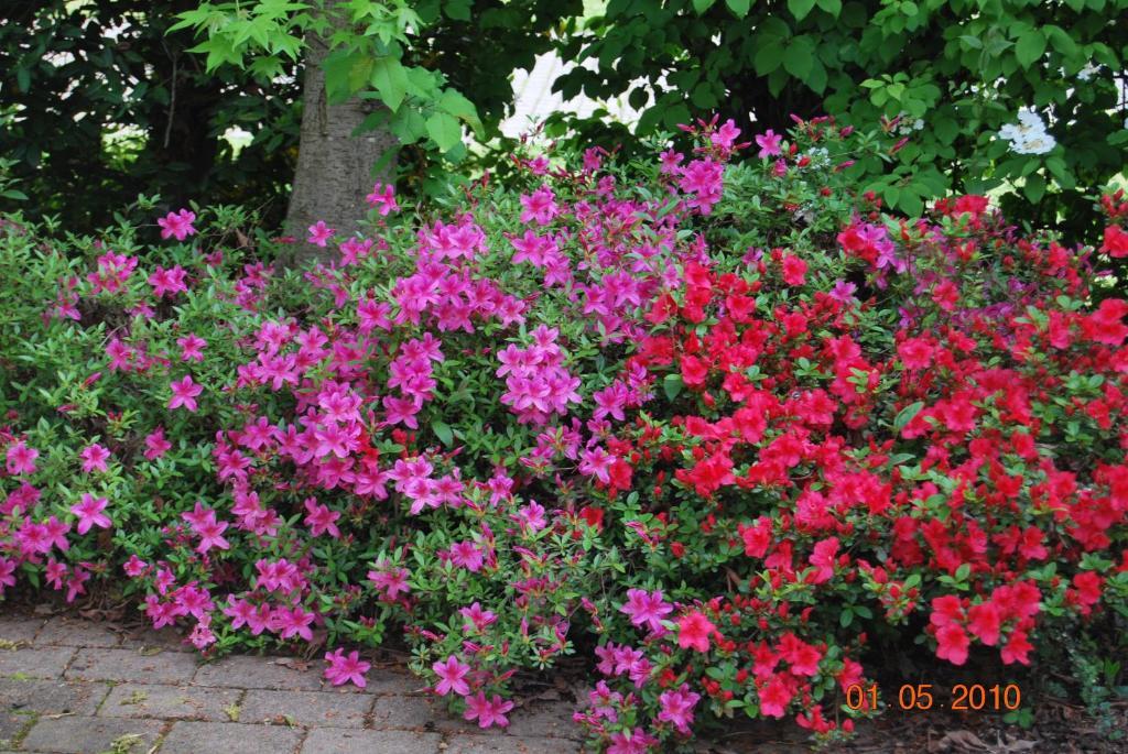 Vecchia Brianza Hotel Seveso ห้อง รูปภาพ